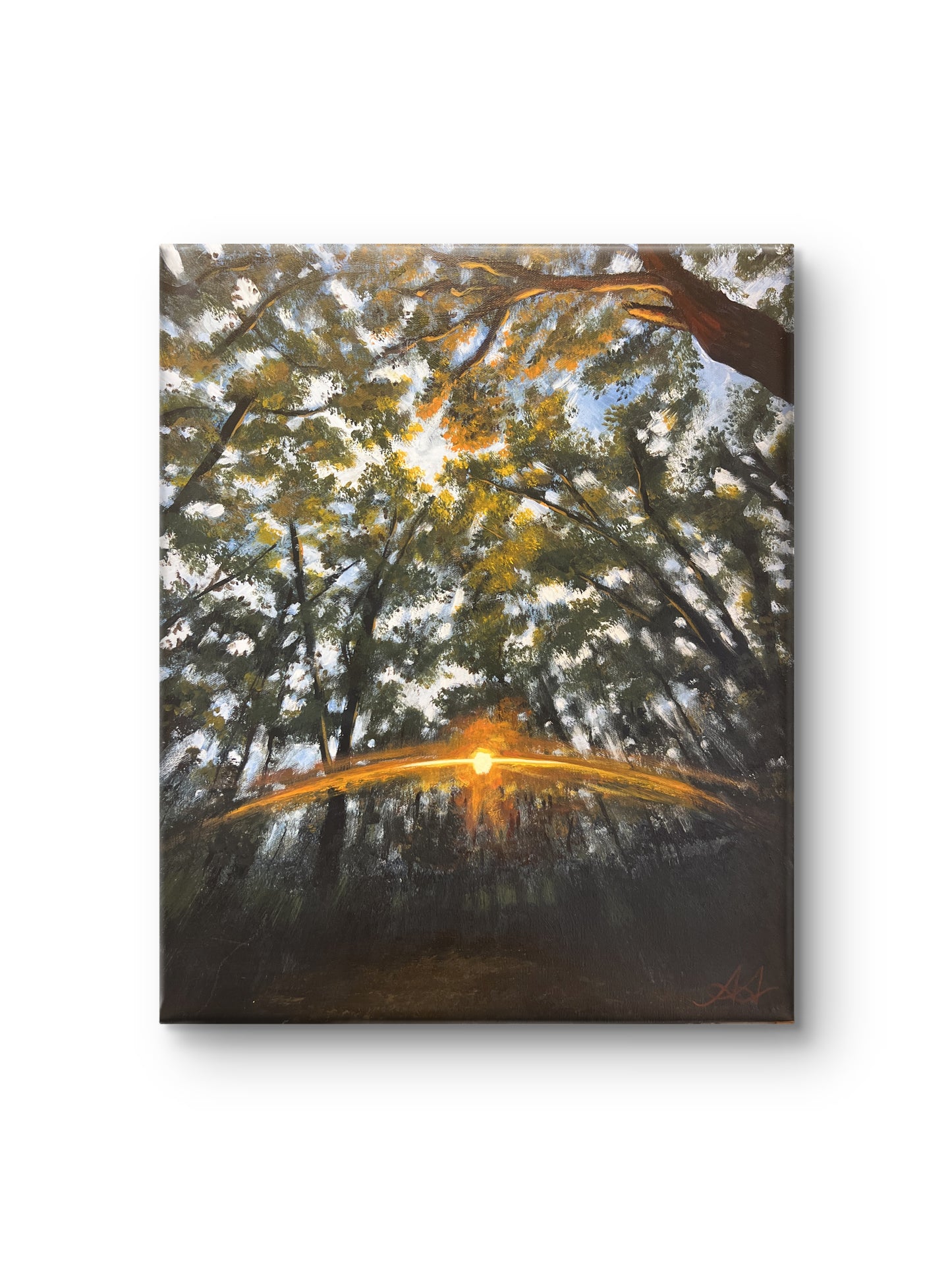 Bending Light
